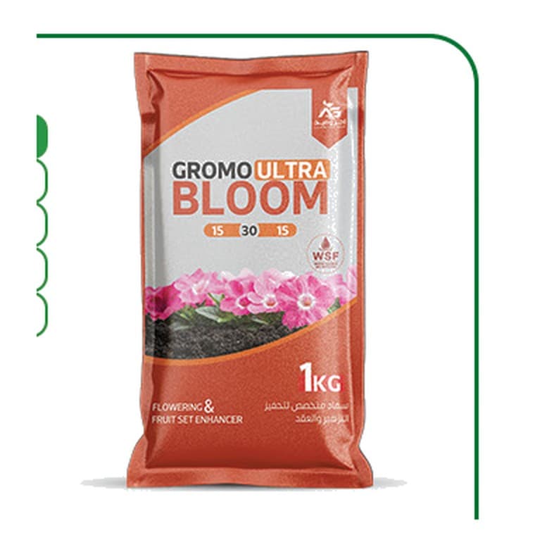 جرومو الترا (BLOOM)