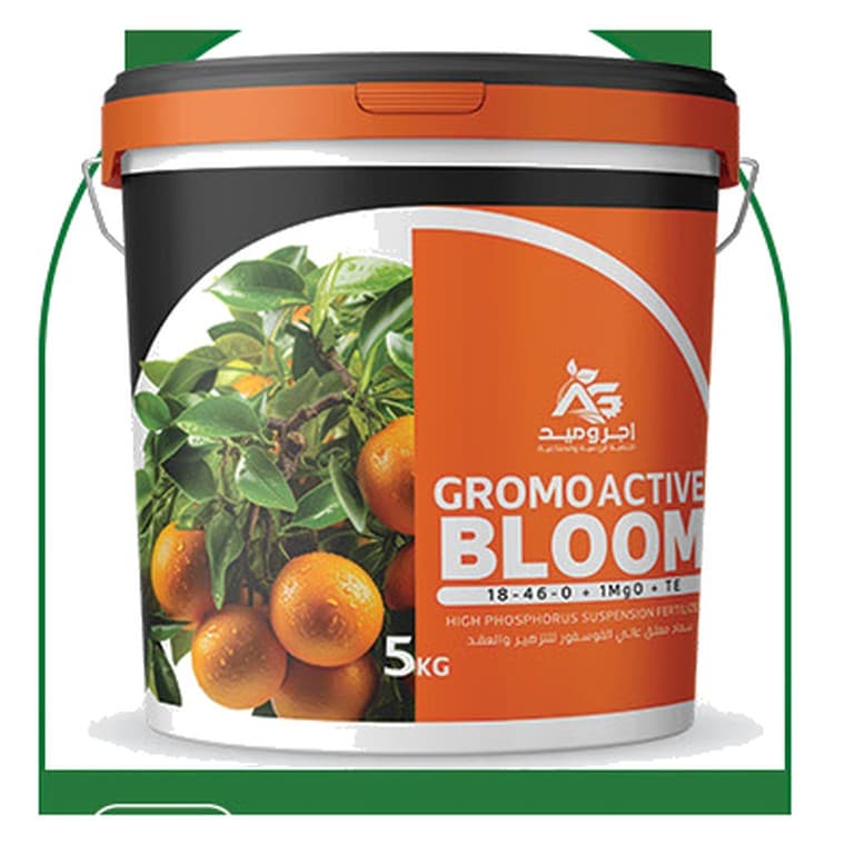 جرومو اكتف (BLOOM)